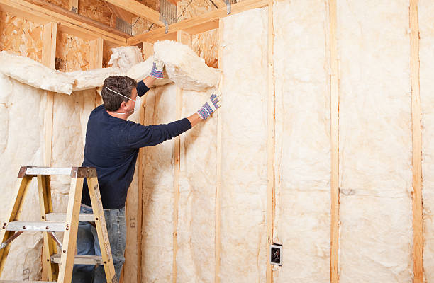 Best Insulation for New Construction in USA